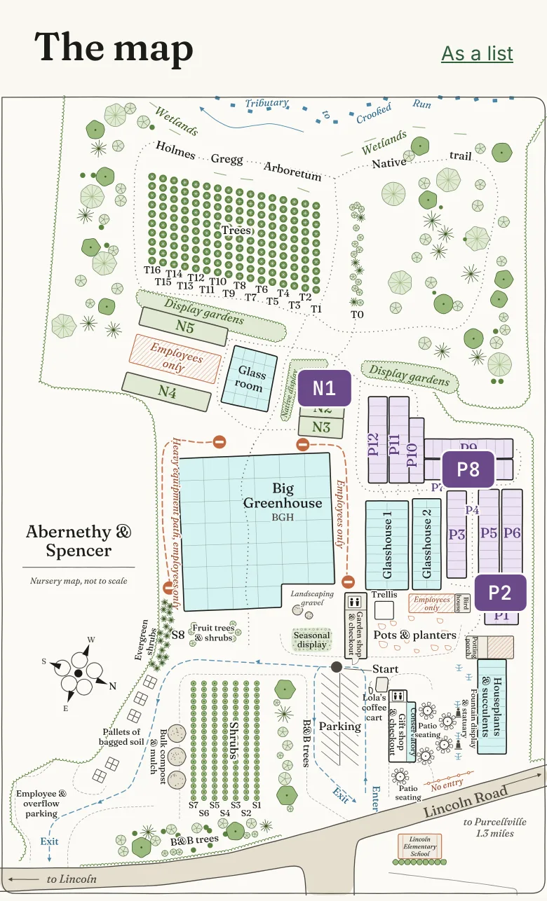 A phone screen headed “The map”, showing Abernethy & Spencer's nursery map, traced from their own poster: the perennial houses P1 to P12, the Big Greenhouse, Glasshouses 1 and 2, the native houses N1 to N5, the tree rows, the shrub rows, the seasonal display, the Start marker by the garden shop, parking and Lincoln Road. The three houses on a saved list, P2, P8 and N1, carry their house codes as labels.